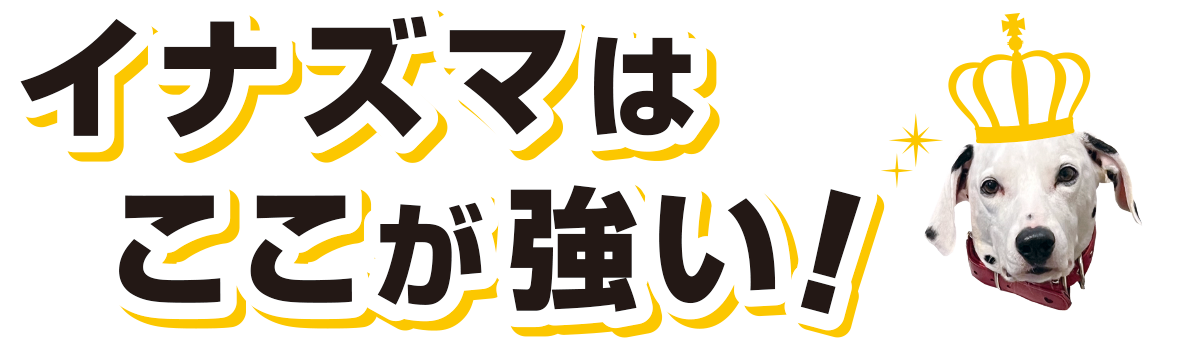 イナズマはここが強い：福島県郡山市の住宅リフォームは株式会社イナズマへ